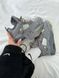 Кросівки Jordan 4 Retro Kaws"Grey" 14113-36 фото 3
