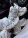 Кросівки Balenciaga 3XL Extreme Lace White Silver 19307-36 фото 7