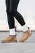 Уггі UGG Ultra Mini Brown 07556-36 фото 5