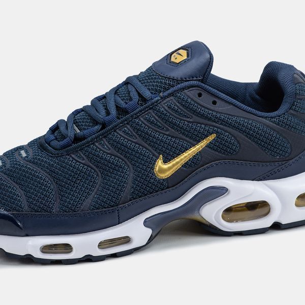 Кросівки Nike Air Max TN Plus Blue Gold White 19560-40 фото