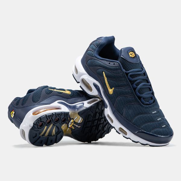 Кросівки Nike Air Max TN Plus Blue Gold White 19560-40 фото