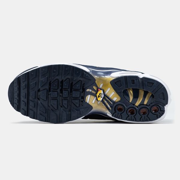 Кросівки Nike Air Max TN Plus Blue Gold White 19560-40 фото