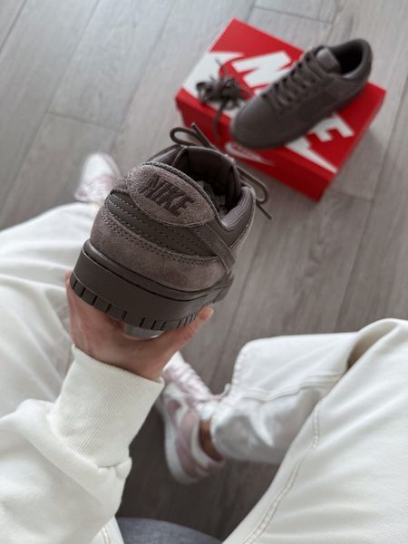 Кросівки Nike SB Dunk Low SE Wolf brown 24555-36 фото